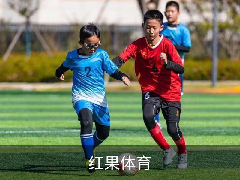 红果体育· (中国)唯一官方网站